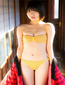 风语日记