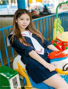 完美的妻子