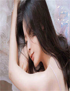 神犬小七第二季电视剧