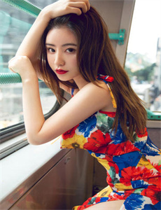 电影杀破狼